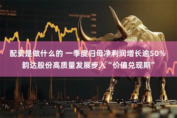 配资是做什么的 一季度归母净利润增长逾50% 韵达股份高质量发展步入“价值兑现期”